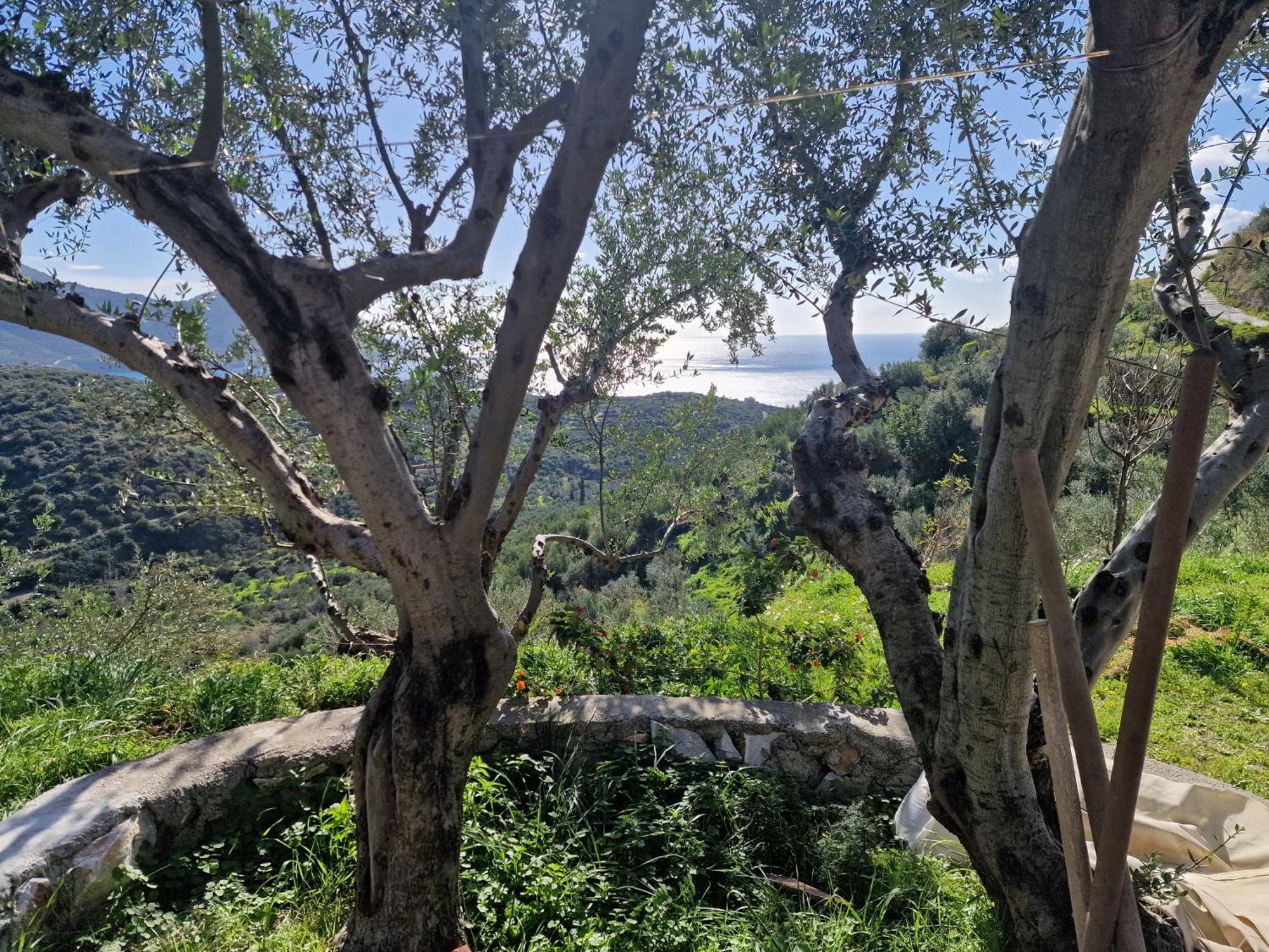 Archontoula'S Villa Flomochori Esterno foto